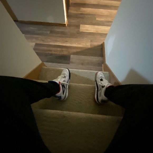 Meet your Posher, Brodie - Picture 1 of 1